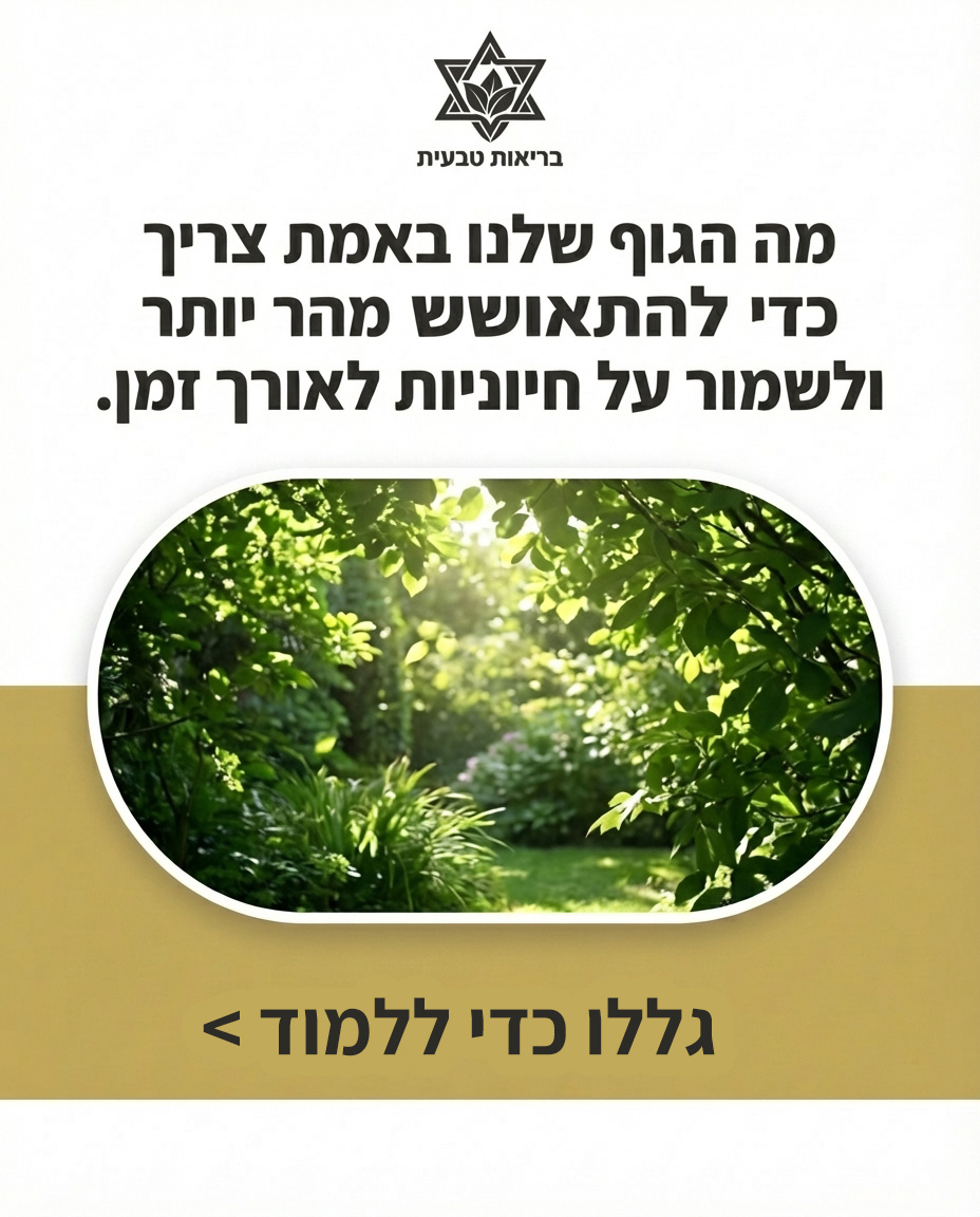 כשהגוף מתמודד עם מחלה, עומס או שחיקה של היומיום, הוא זקוק להזנה עמוקה שיכולה להיספג באופן מיידי. עירויי ויטמינים המשלבים