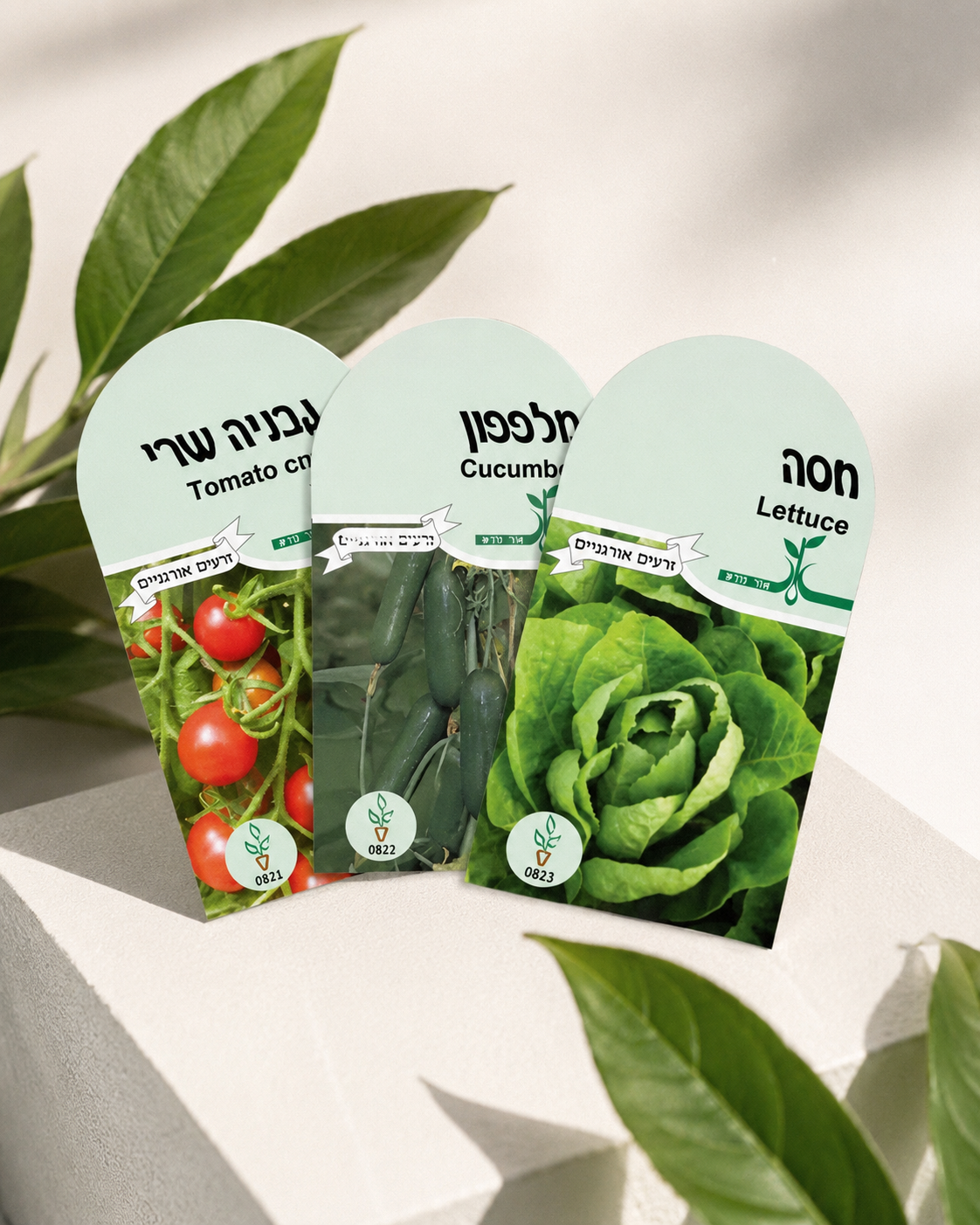 מבחר זרעים מובחרים לגידול ביתי, באריזות קומפקטיות ואטומות. נבחרו במיוחד לגידול הידרופוני, עם דגש על נביטה גבוהה, טעם מצו