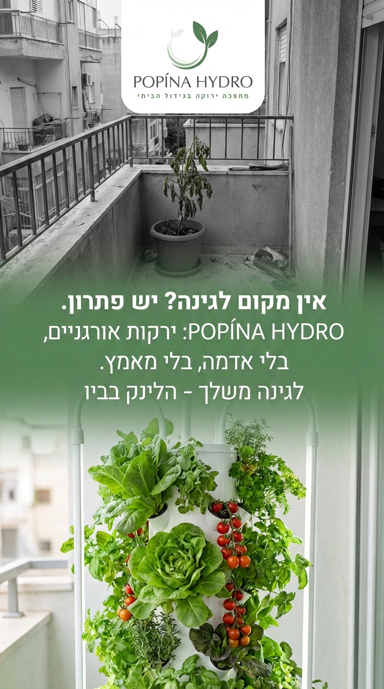 סטורי יומי של המותג POPÍNA HYDRO