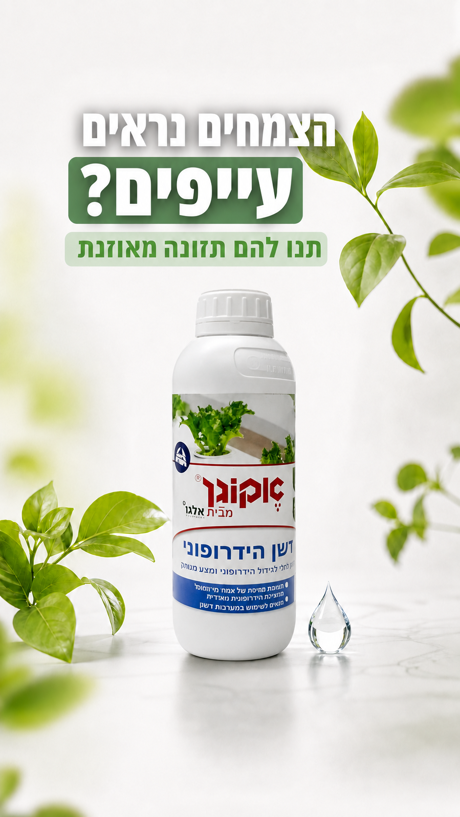 הסטורי היומי של POPÍNA HYDRO